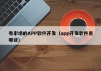 有市场的APP软件开发（app开发软件有哪些）
