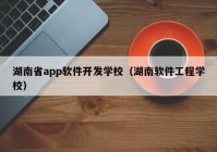湖南省app软件开发学校（湖南软件工程学校）