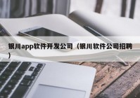 银川app软件开发公司（银川软件公司招聘）
